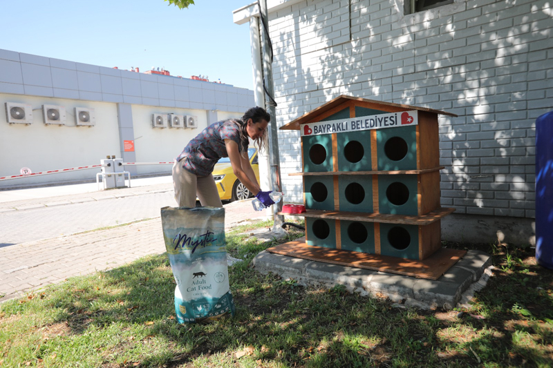 Bayraklı Belediyesi kavurucu sıcaklarda can dostlarını unutmadı