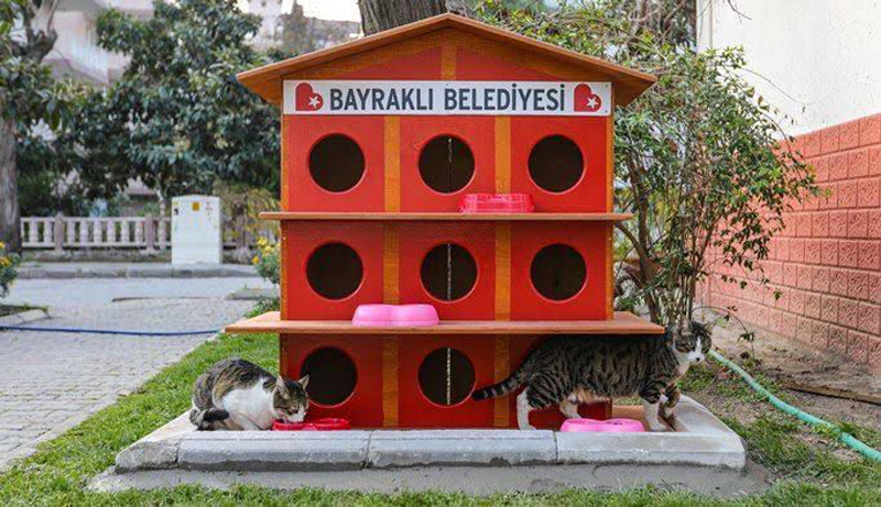 Bayraklı'da kedi evlerinin sayısı 20'ye yükseldi