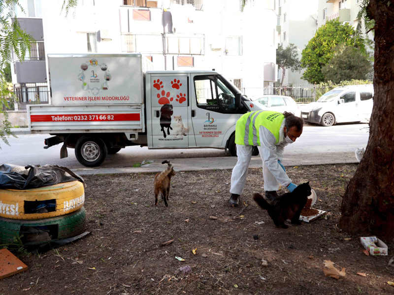 Bayraklı Belediyesi sokağa çıkma kısıtlamasında sokak hayvanlarını unutmadı