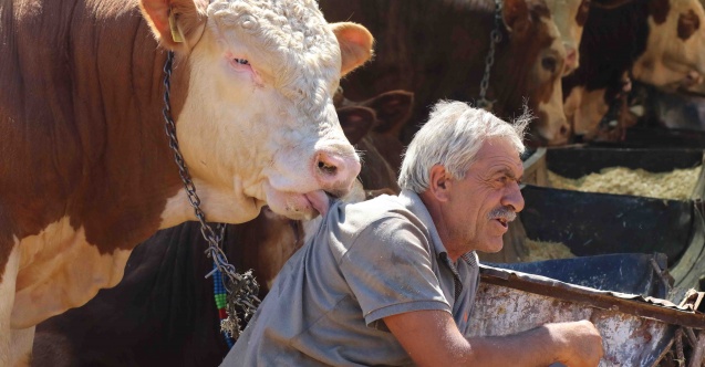 Bayraklı Belediyesi Kurban Bayramı’na hazır