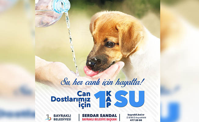 Sokak hayvanları için Bir Kap Su kampanyası